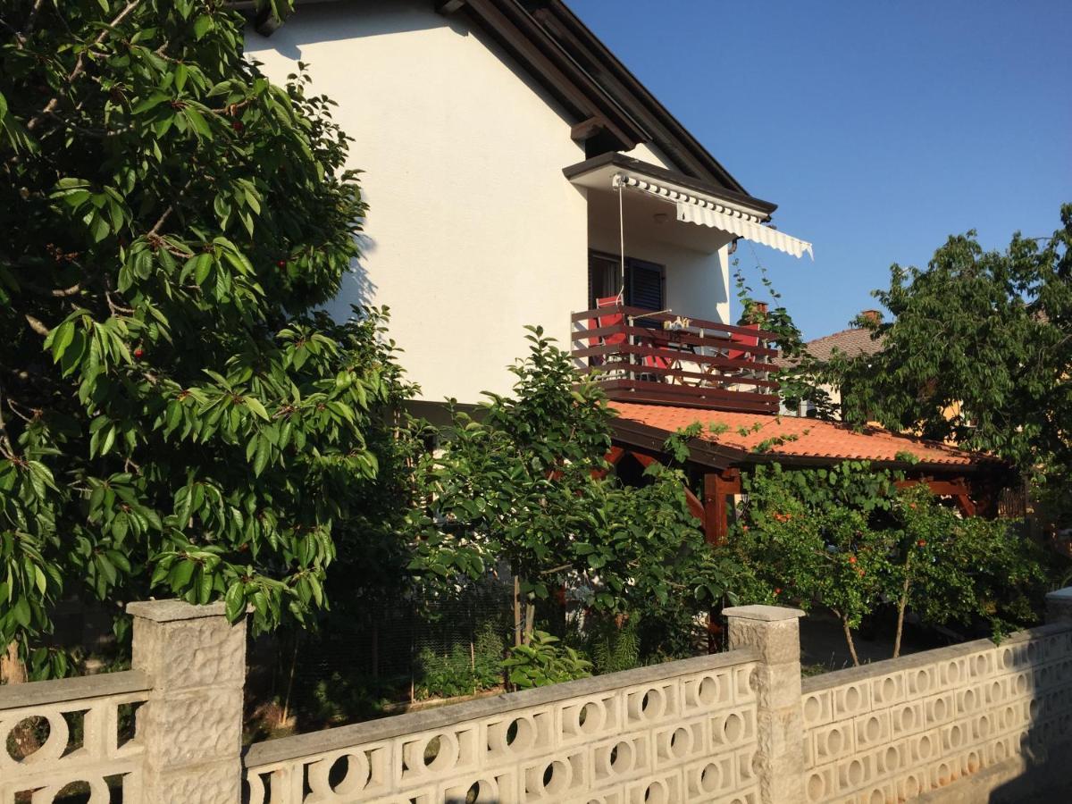 Iva Apartments Novigrad  Exterior photo