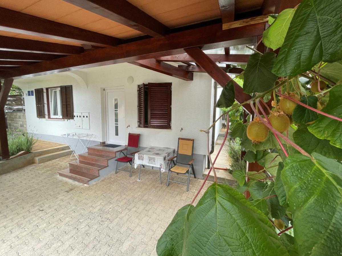 Iva Apartments Novigrad  Exterior photo