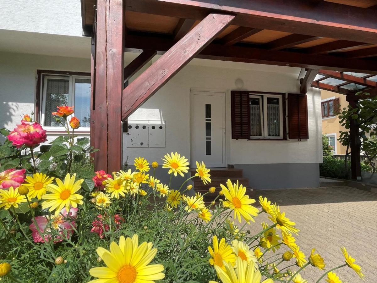 Iva Apartments Novigrad  Exterior photo